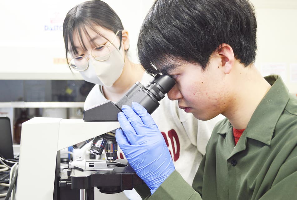 顕微鏡で細胞を観察している様子